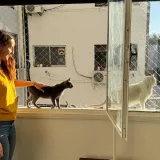 Imagen de campaña: Burakeras Asistencia Gatuna te necesita Imagen de campaña: Burakeras Asistencia Gatuna te necesita