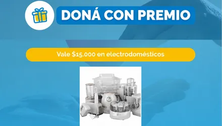 Tu donación puede convertirse en un nuevo comienzo: conocé cómo funciona el sorteo de Doná Fácil